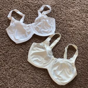 Lilyette 34DD Minimizer bras